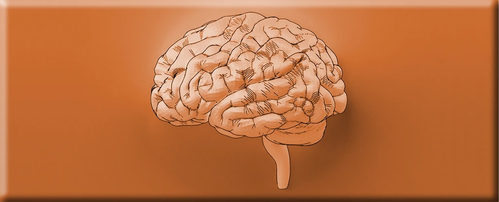 مس چه تاثیری رو ذهن و عملکرد مغز دارد