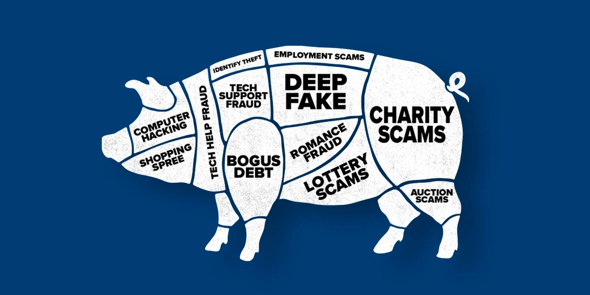 Pig Butchering Scam؛ کلاه‌برداری قصابی خوک چیه؟